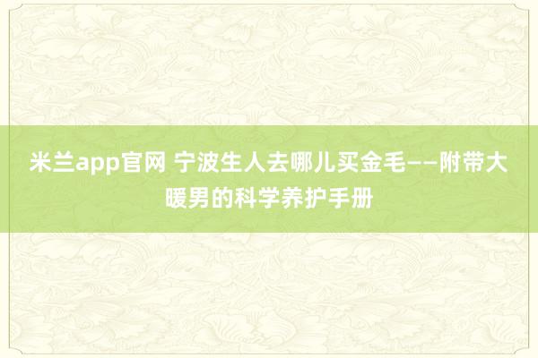 米兰app官网 宁波生人去哪儿买金毛——附带大暖男的科学养护手册