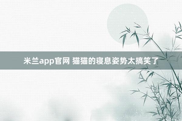 米兰app官网 猫猫的寝息姿势太搞笑了