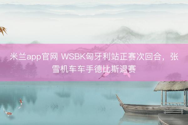 米兰app官网 WSBK匈牙利站正赛次回合，张雪机车车手德比斯退赛